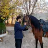 lawensiyamand