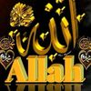 mirzajee322