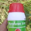 wong.ndeso3201
