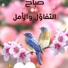 sabahmoustafa64