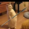 memephd64