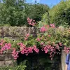 annie_greatbatch