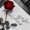 syed_zadiii050