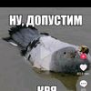 userur86igtlk5