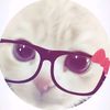 zahrasoft_spoken
