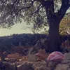 d4xzyv