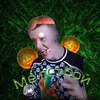 lolkichkartkorkic