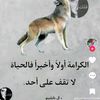 user6771855915242