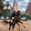 عبدالمجيد ال غانم 🐎