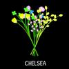 itsmechelsea11