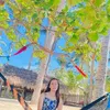 debbiejanenarciso
