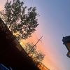 its_jocey
