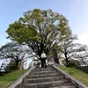 mahendrabudha205