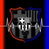 _lar73