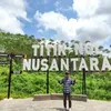 dianaturuy