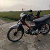 pter_z.5tp