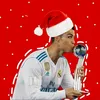 alexander_10_12