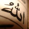 salaf591
