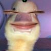 manusyaaaaa____