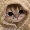_ngurxithoii_