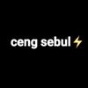 1sebul