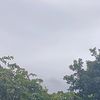 rippati130825