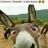 oscartrejo698