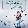 shoaib_483