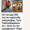 user557438883416