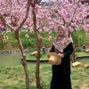 nursiyahismail