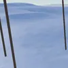 qdmqlm