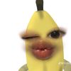 ssye.ice