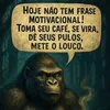 gorilao4.0