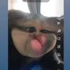 itsw.dyeh