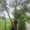 Aayush