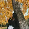 vesta_vesta12