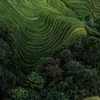 sitinurhawa77