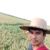 user8461681920552
