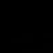ns_q_poneer