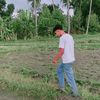 andistriaw_
