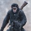 apes___caesar