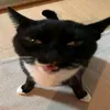 mizskca