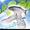 mixhi_st2009