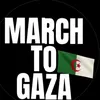 free.palestine2347