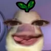 cassey_wh0