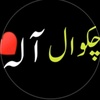 chuadhary_hamza_143