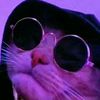 videos_random2.6