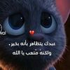 user7170668172275