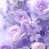 lynzy222
