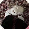 ae_9lll